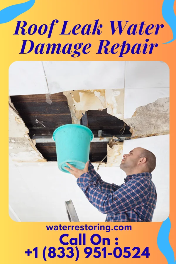 Roof Leak Water Damage Repair in Santa Monica, CA